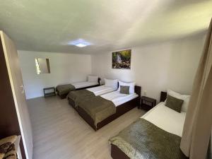 a hotel room with two beds and twopillows at Anita Vendégház Korond in Ascio