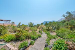 a garden with plants and flowers on a hill at Villa Anna Maria in Vulcano