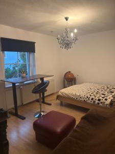 ein Schlafzimmer mit einem Bett, einem Tisch und einem Stuhl in der Unterkunft Komfortzimmer im modernen Stil in Trieben