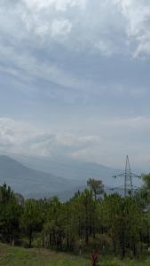 a field with trees and a windmill in the distance at Surya hills Homestay in Patnitop