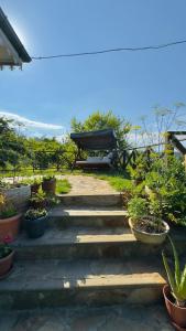 Zahrada ubytování Blacksea Dream House + 30 fotografií