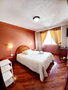 Galería fotográfica de Royal Ruiz en Ibarra