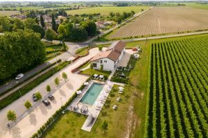 an aerial view of a house with a swimming pool and a vineyard at B&B Locanda Forchir in Camino al Tagliamento