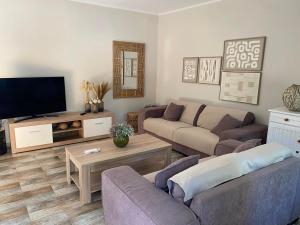 a living room with a couch and a tv at Geropalas Spacious Garden House in Vlachopoulátika