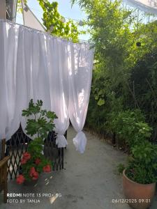 Aed väljaspool majutusasutust Apartma REA Izola, pergola & terassa, parking