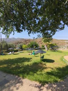 a park with a picnic table in the grass at Casa Rural en Padules GR in Padules +15 photos
