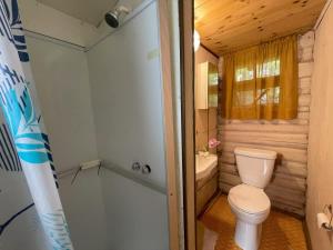 Un pequeño baño con inodoro y ducha. en 1-Bedroom Balsam Lake Cottage #9, en Kawartha Lakes