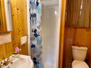 Un baño con inodoro, lavabo y ducha. en Balsam Lake - 2-Bedroom House in Kawartha #15, en Kawartha Lakes