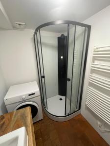 una ducha de cristal en un baño con lavabo en Duplex Hyper centre cosy, en Auxerre
