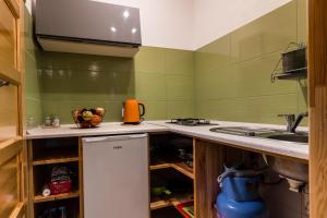a small kitchen with green walls and a sink at Domek Słoneczny z jacuzzi in Susiec