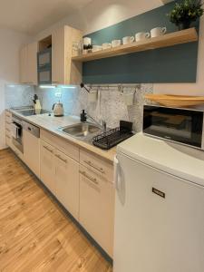 Kuchyň nebo kuchyňský kout v ubytování Apartmán Pod Kopečkem
