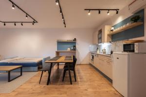 Kuchyň nebo kuchyňský kout v ubytování Apartmán Pod Kopečkem