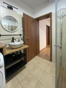 Koupelna v ubytování Apartmán Pod Kopečkem