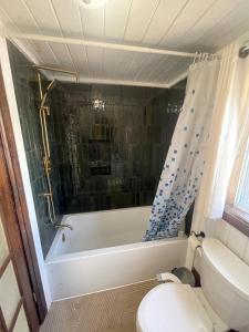 a bathroom with a toilet and a bath tub at Muskoka Cabana - Sandy beach cottage in Muskoka in Windermere