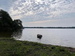 a large rock sitting in the middle of a lake at 3-bedroom Lakefront Villa #3 in Lakefield