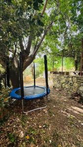 a blue trampoline on the ground under a tree at Villa in Toscana con Piscina privata e parco privato in Montemagno