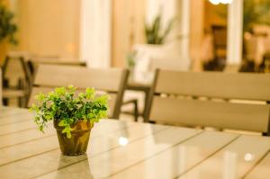 Gallery image of Hotel Ivanoff in Svishtov