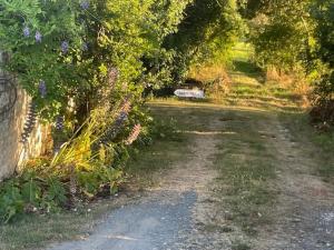 a dirt road with trees and a car in the distance at LoveRoom Adults-Only in Maillezais