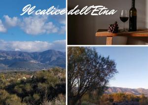 a collage of three pictures with wine glasses and a tree at Il Calice dell'Etna in Passopisciaro