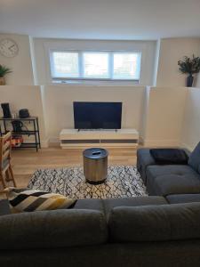 a living room with a couch and a tv at One bedroom Apt in Riverview in Riverview