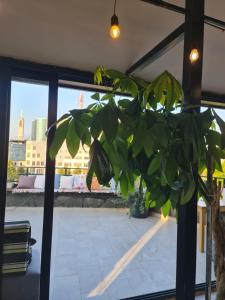 Galería fotográfica de The Rooftop Hostel en Shkodër