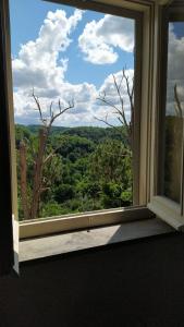 a window with a view of a forest at Botanica Calcata in Calcata