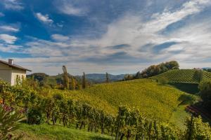 Gallery image of Weingut Hernach vlg Roschitz in Leutschach +4 photos
