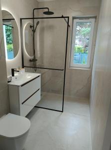 a bathroom with a shower and a toilet and a sink at Willa Róż in Rusinowo