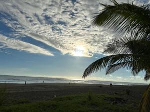 una playa con una palmera y gente en la playa en En-suite Paraiso #1, en Parrita
