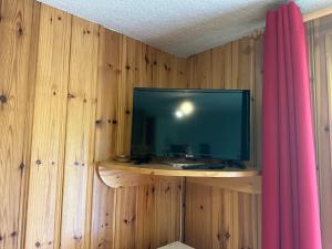 telewizor siedzący na drewnianej ścianie w obiekcie Appartement cosy à Morillon, proche lac Bleu, terrasse sud, 4 pers, piste ski bus, sans internet - FR-1-642-69 w mieście Morillon