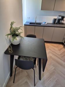 Kuchyň nebo kuchyňský kout v ubytování Stylish Studio in Copenhagen