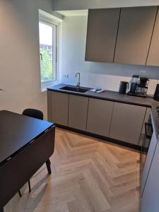 Kuchyň nebo kuchyňský kout v ubytování Stylish Studio in Copenhagen + 5 fotografií