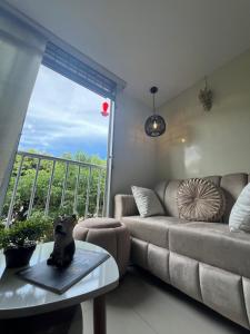Posezení v ubytování Hermoso Apartamento Cómodo y Central en San Luis