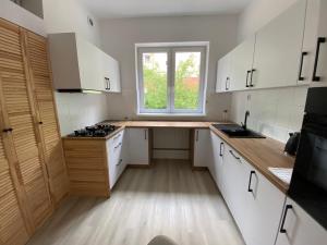 Η κουζίνα ή μικρή κουζίνα στο Bajeczne Orłowo +11 φωτογραφίες