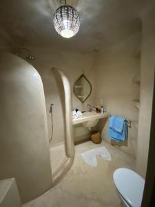 a bathroom with a shower and a toilet and a sink at Riad Dar Hania en Exclusivité in Marrakech
