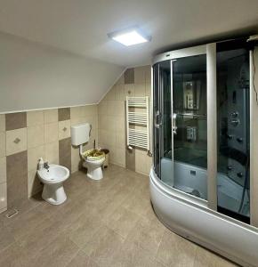 a bathroom with a shower and a toilet and a sink at Vila de vacanta Curtea de Arges in Curtea de Argeş