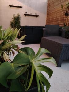 Posezení v ubytování Monstera Lodge