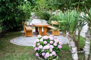 Zahrada ubytování Guest House Aldin