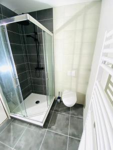 a bathroom with a shower and a toilet at T1 hypercenter, 50m Basilica in Paray-le-Monial