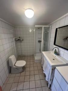 a bathroom with a toilet and a sink and a shower at Hybel leilighet på Rosanes, Teie in Lii