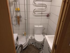 a bathroom with a shower and a toilet and a sink at Armas pesa Loo asumis in Loo