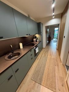 una cocina con fregadero y encimera en Andrea Apartman, en Alsóörs