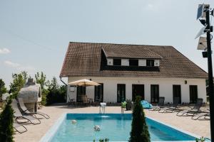a house with a swimming pool in front of a house at Pensiunea Oaza Padurii in Novaci +23 photos