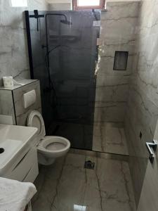 a bathroom with a shower with a toilet and a sink at Apartment Almira in Pula +15 photos