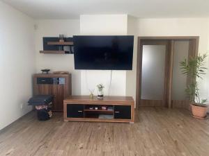 Μια τηλεόραση ή/και κέντρο ψυχαγωγίας στο Apartmán pod Pálavskými vrchy