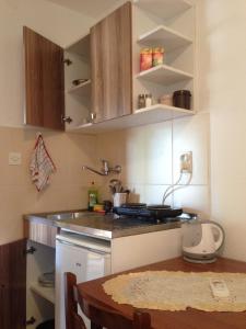 Kuchyň nebo kuchyňský kout v ubytování Apartments Aleksic