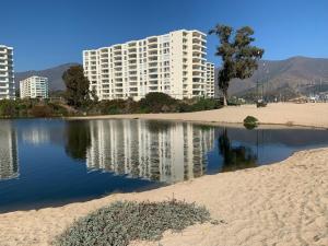 a building on the beach next to a body of water at Hermoso Depto Laguna Papudo vista al Mar in Papudo