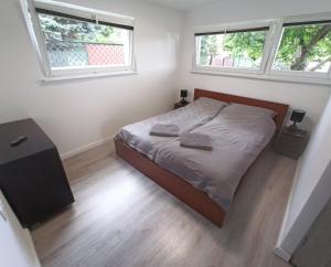 a bedroom with a bed and two windows at Sara Resort II in Wisełka