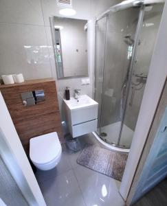a bathroom with a shower and a toilet and a sink at Sara Resort II in Wisełka +20 photos