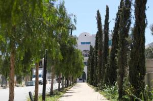 Imagem da galeria de Sunset & Sage studio Santorini Resort em Himare